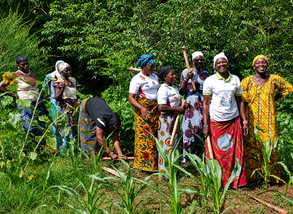 Résilience à Ouahigouya : les femmes déplacées de Barga transforment la précarité en levier de souveraineté alimentaire